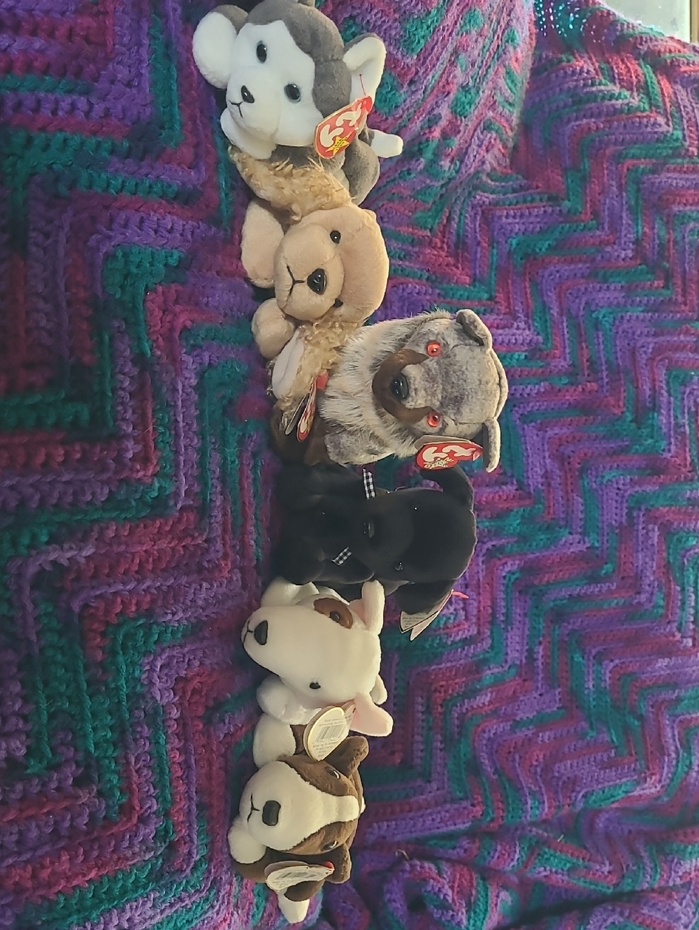 6 Ty Plush Dog Beanie Baby Set - Purple, Green, Black, Brown, Cream